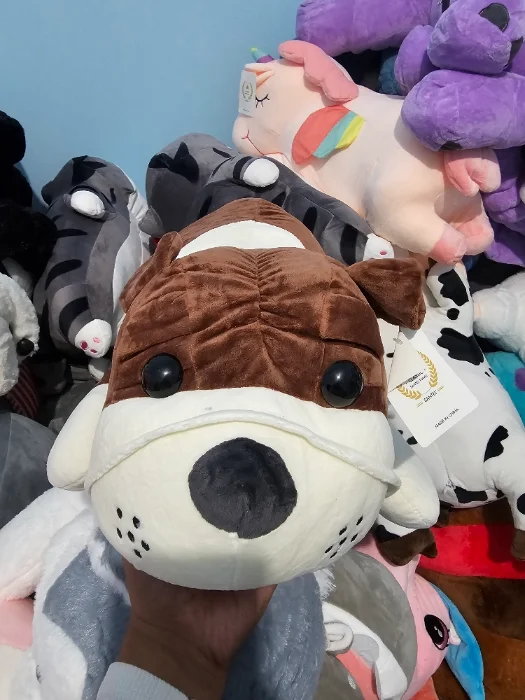 Peluche con Manta