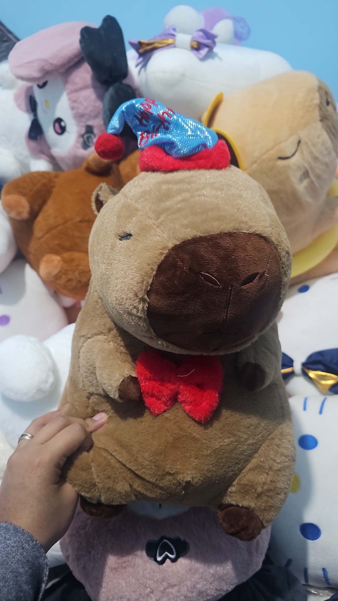 Peluche con Manta - Imagen 5