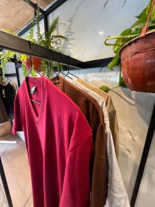 Remeras Cuello V Especial - Miniatura 2