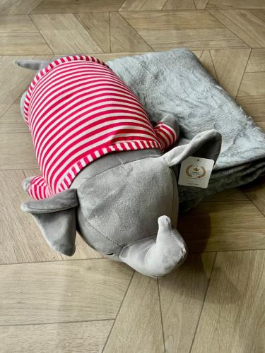 Peluches + Mantas 1'60 × 1.10