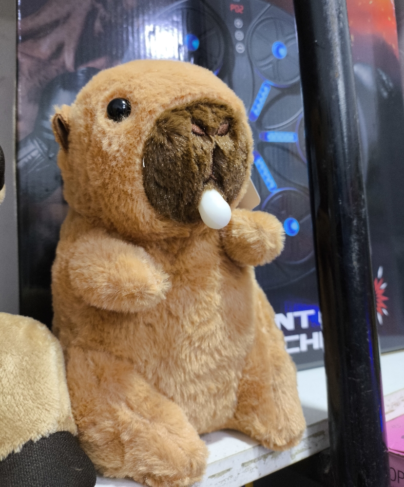 Peluche Capibara, Diferentes Tamaños Oferta - Imagen 1
