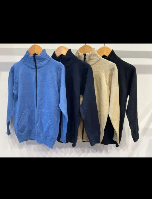 Campera Nuevo Ingreso de Niño