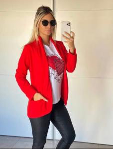 Blazer Especial