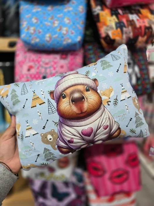 Almohadoncitos