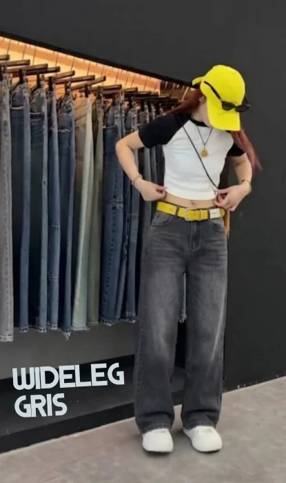 Wideleg Gris