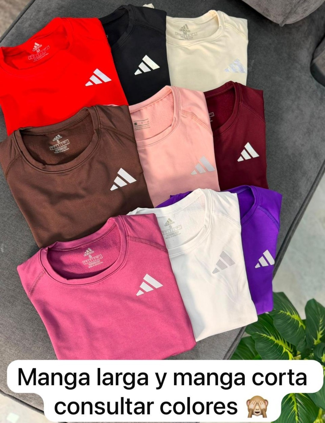 Camisetas de Lycra - Imagen 2