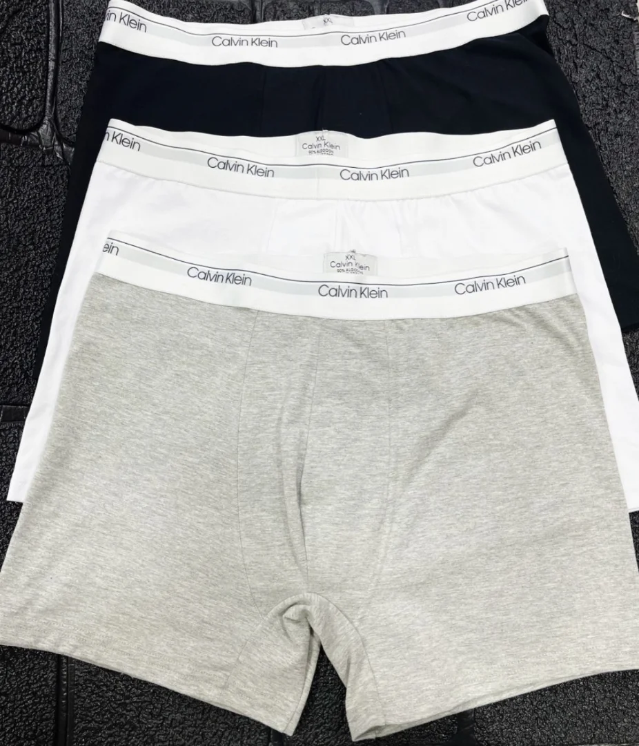 Boxer Calvin - 164d41a8-85be-4354-b16e-769e268143c9.jpeg