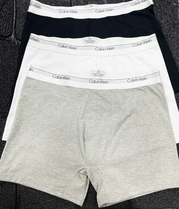 Boxer Calvin