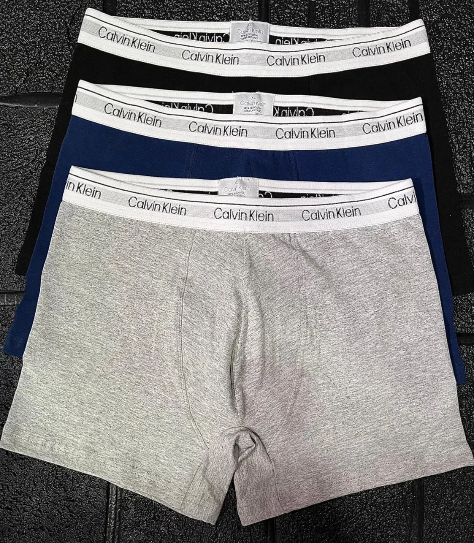 Boxer Calvin - 7fecb69a-635e-4902-9dba-d6c2e0dab16e.jpeg