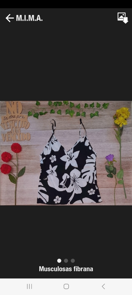 Musculosa de Fibrana - Imagen 3