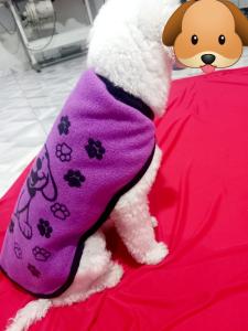 Ropa Perro Polar Estampado - Miniatura 2