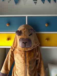 Pijama Capibara