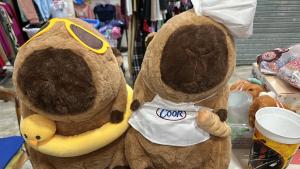 Capibara Peluche Manta
