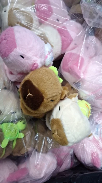 Capibara Gira Colita