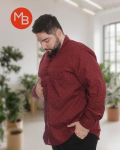 Camisa Rígida Clásica Pintitas Especial - Miniatura 2