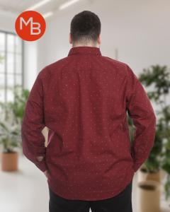 Camisa Rígida Clásica Pintitas Especial - Miniatura 4