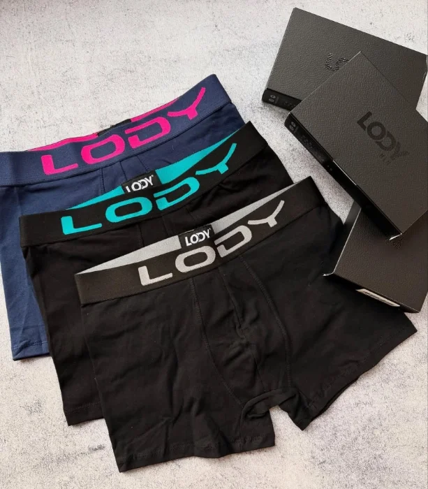 Boxer Lody Liso