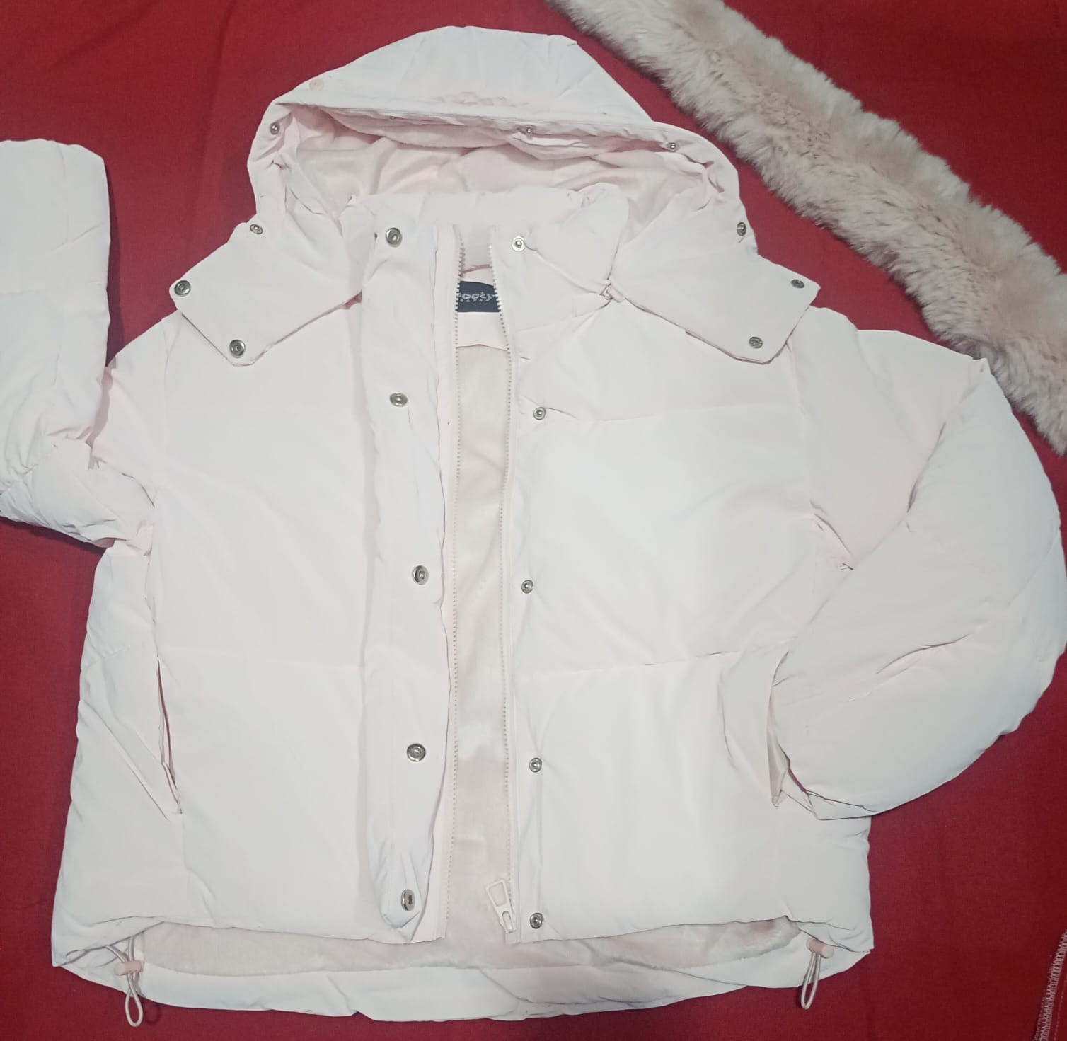 Campera C/solapa - Imagen 3