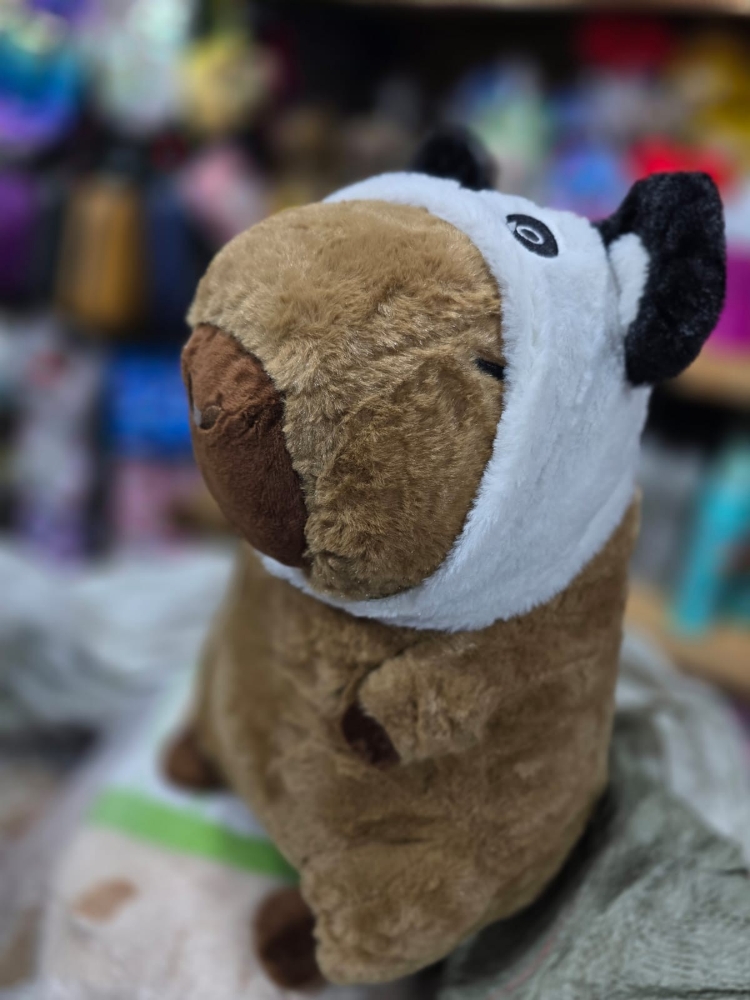 Capibara con Manta - Imagen 3