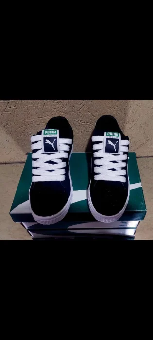 Pum Solo X Pedidos y Curva