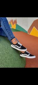 Art. Vans