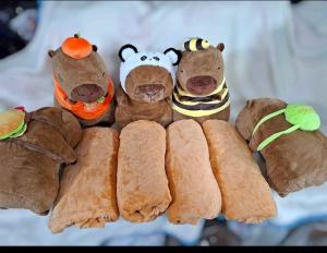 Capibaras con Manta