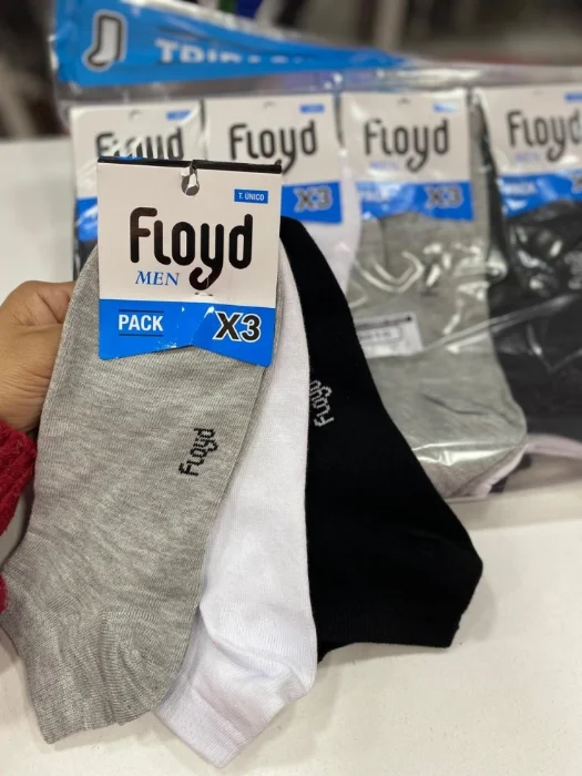 Floyd..art3010
