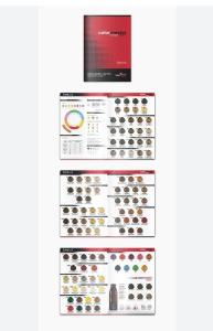 Carta de Colores Colormaster Fidelite - Miniatura 3