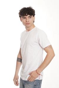 Remera Algodón Peinado 24.1