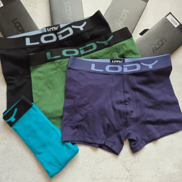 Boxer Lody Liso