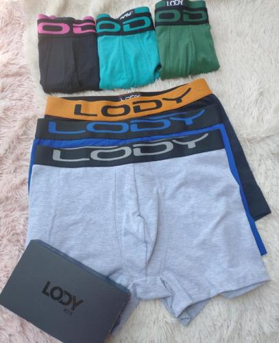 Boxer Lody Liso