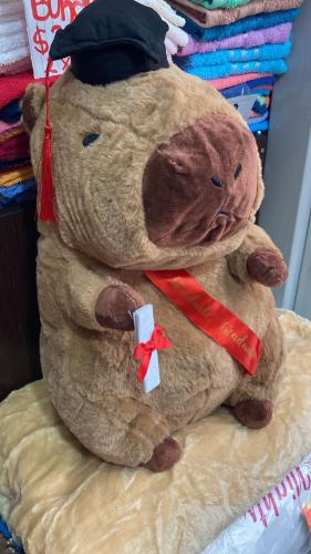 Capybara con Manta - Miniatura 2