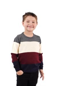 Sueter de Niño Nuevos Ingresos
