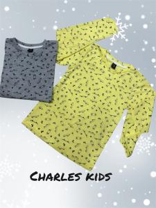 Camisetas Patineta