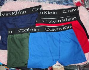 Boxer  Juvenil  Calvin