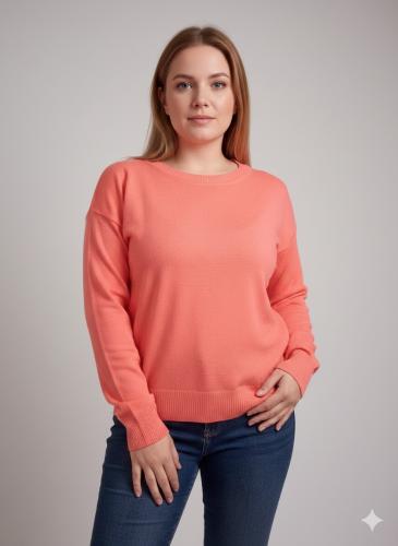 Sweater de Bremer Classico
