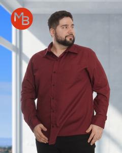 Camisa Lisa Especial