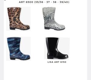 Botas de Lluvia