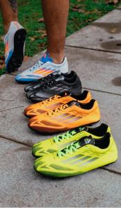 Botin