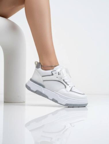 2025 Zapas