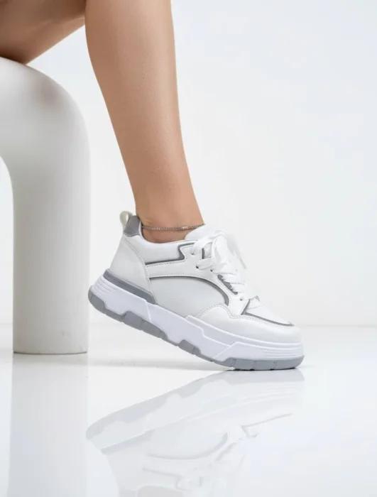 2025 Zapas