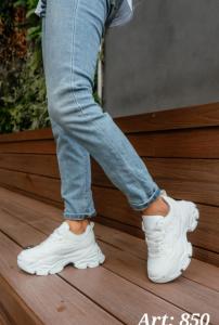 850 Zapas