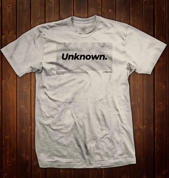 Remera Estampada