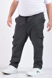 Nuevo Ingreso Cargos Especiales