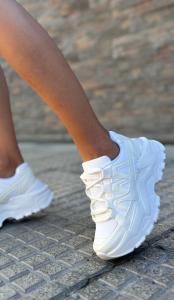 Zapatillas Clásicas