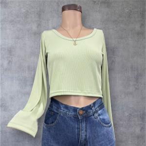 Remera Lisa