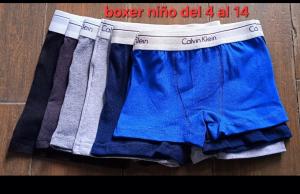 Boxer Niño Calvin Klenin