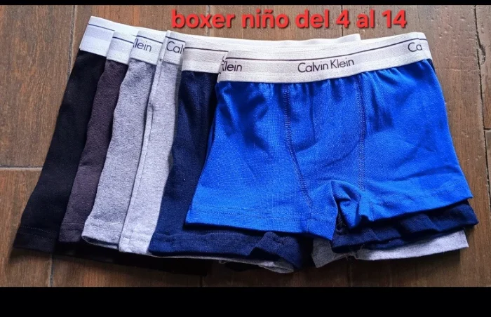 Boxer Niño Calvin Klenin