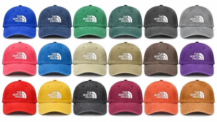 Gorra The North Face