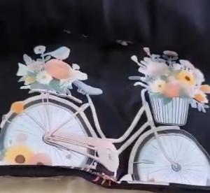 Remeras Estampadas Algodón Peinado
